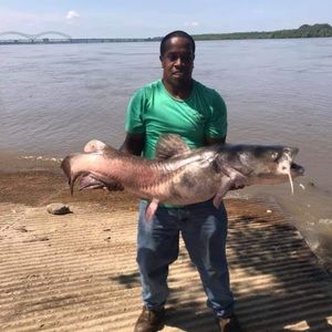 Meet your Posher, Braxton